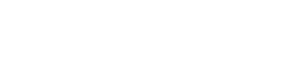 Sac Madame